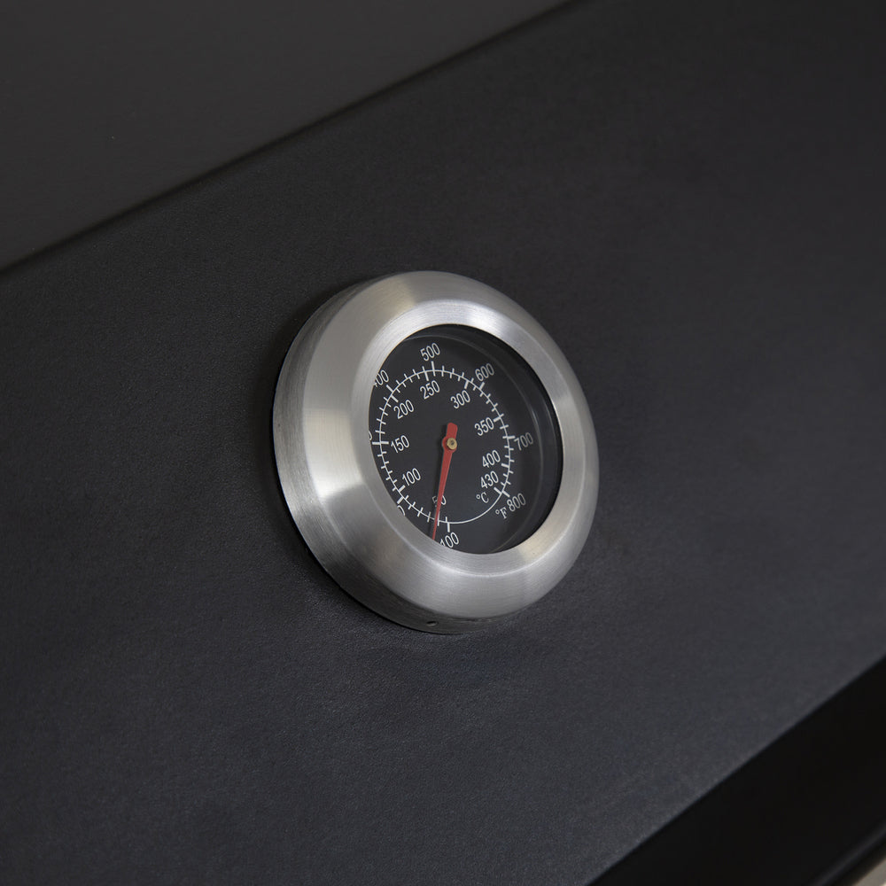 Artusi Matte Black 4 Burner Built-In BBQ with Roasting Hood