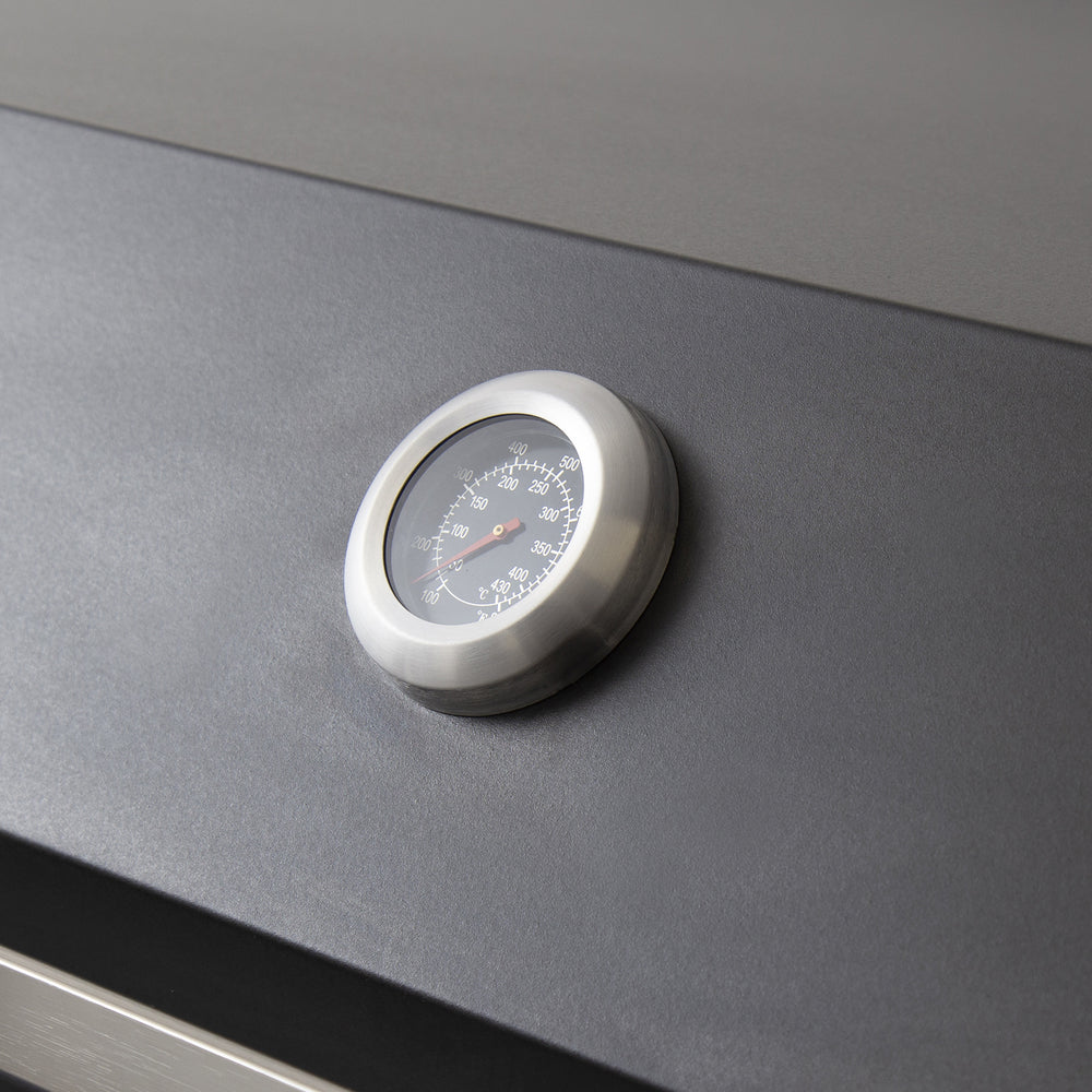 Artusi Matte Black 4 Burner Built-In BBQ with Roasting Hood