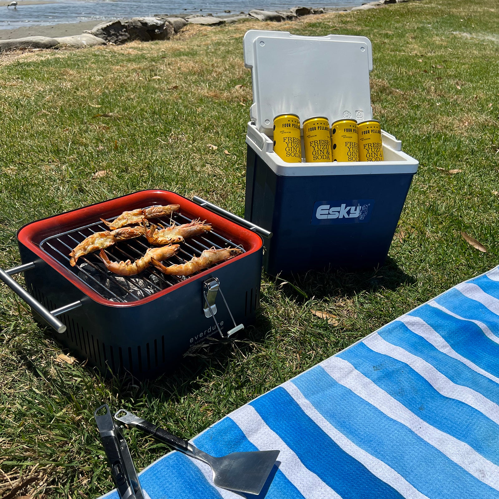 Everdure CUBE™ Portable Charcoal Barbeque